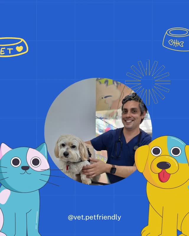 Dr. Pablo Rojo Mendoza - Veterinarian Pathology Cytology Specialist Puerto Morelos